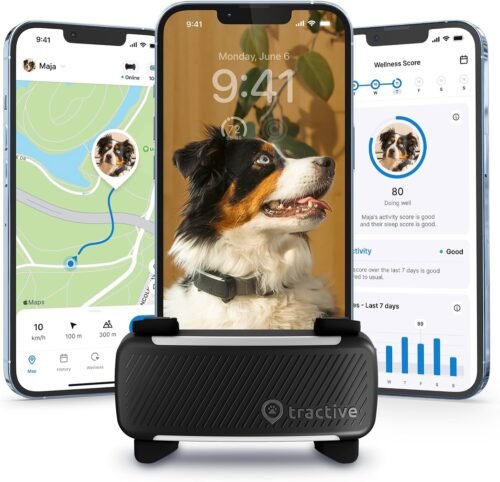 Tractive GPS Dog Tracker (2025 Release) | Real-time Pet Location Tracker | Health & Wellness Alerts | Virtual Fence for Dogs | Bark Monitoring | Dog Collar Attachment (Black)